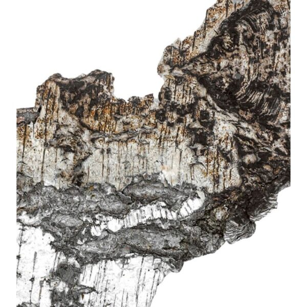 Matiere Premiere Falcon Leather Matiere Premiere Falcon Leather