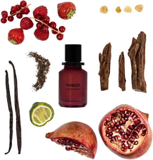 Fugazzi Pomegranoudh Fugazzi Pomegranoudh