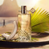 Kilian Paris Piña Paraíso