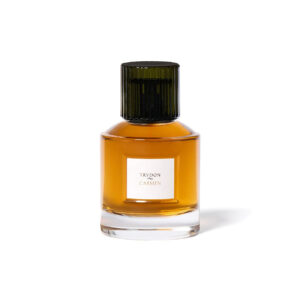 TRUDON-Carmen-EDP-100ml-1-CM70 Carmen